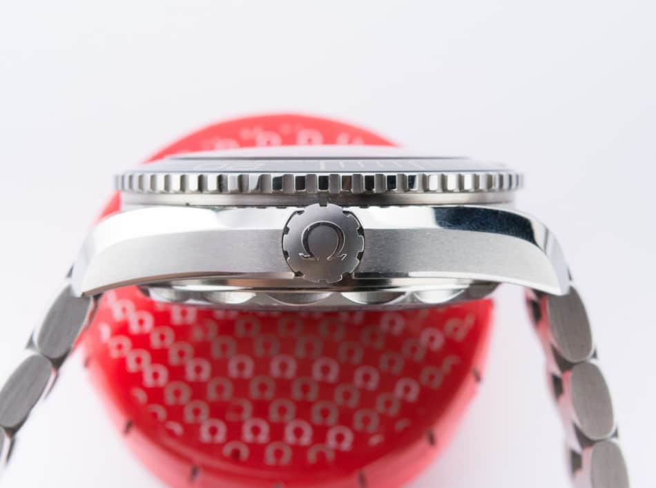 omega seamaster case
